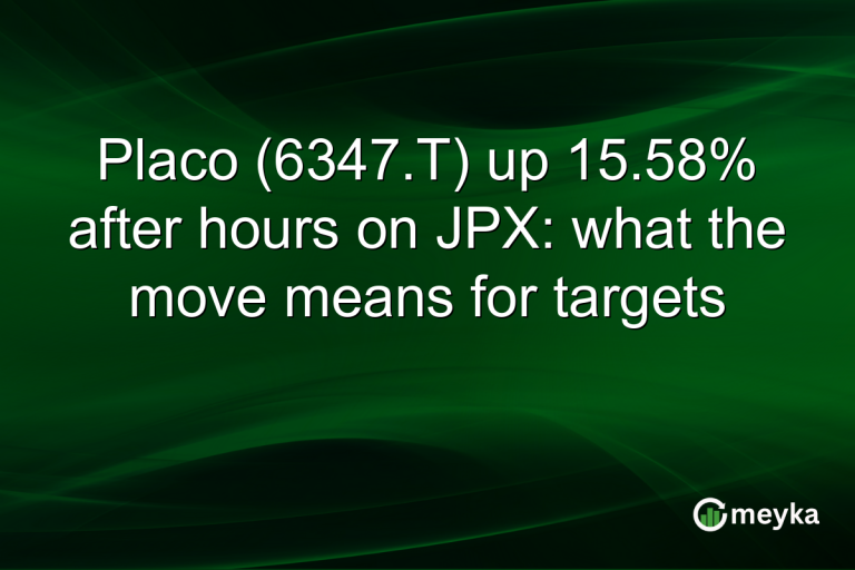 Placo (6347.T) up 15.58% after hours on JPX: what the move means for targets