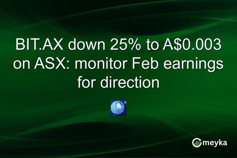 BIT.AX down 25% to A$0.003 on ASX: monitor Feb earnings for direction