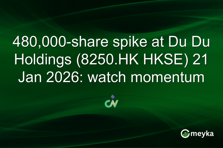 480,000-share spike at Du Du Holdings (8250.HK HKSE) 21 Jan 2026: watch momentum