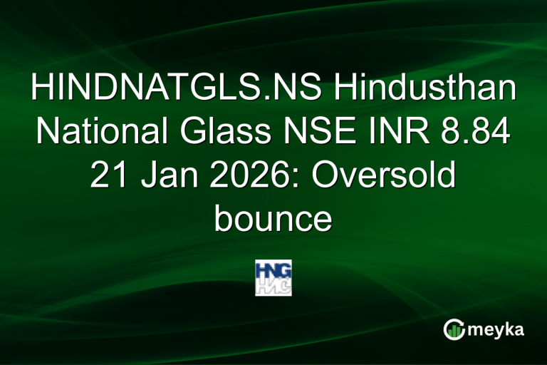 HINDNATGLS.NS Hindusthan National Glass NSE INR 8.84 21 Jan 2026: Oversold bounce