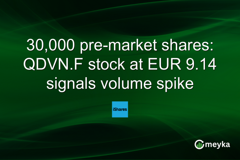 30,000 pre-market shares: QDVN.F stock at EUR 9.14 signals volume spike