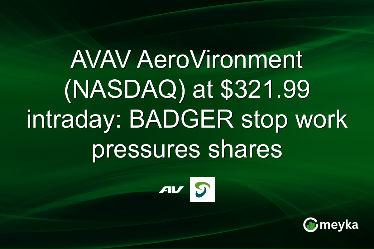 AVAV AeroVironment (NASDAQ) at $321.99 intraday: BADGER stop work pressures shares