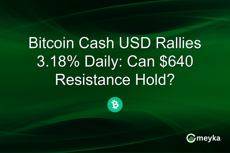 Bitcoin Cash USD Rallies 3.18% Daily: Can $640 Resistance Hold?
