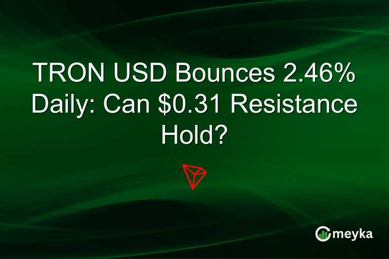 TRON USD Bounces 2.46% Daily: Can $0.31 Resistance Hold?