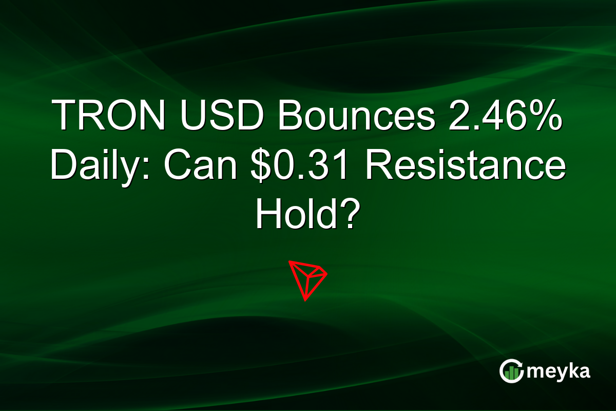 TRON USD Bounces 2.46% Daily: Can $0.31 Resistance Hold?