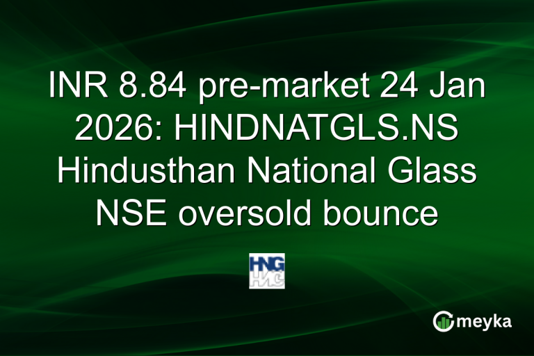 INR 8.84 pre-market 24 Jan 2026: HINDNATGLS.NS Hindusthan National Glass NSE oversold bounce