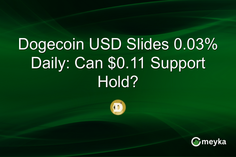 Dogecoin USD Slides 0.03% Daily: Can $0.11 Support Hold?
