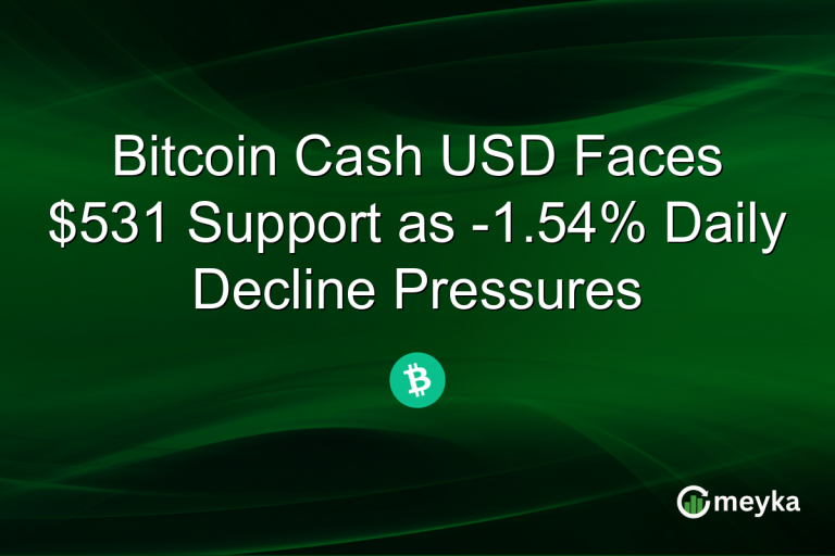 Bitcoin Cash USD Faces $531 Support as -1.54% Daily Decline Pressures