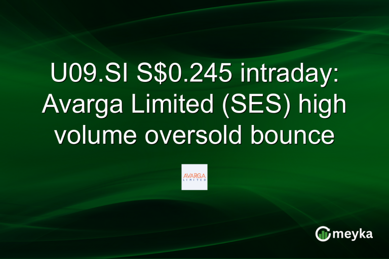 U09.SI S$0.245 intraday: Avarga Limited (SES) high volume oversold bounce