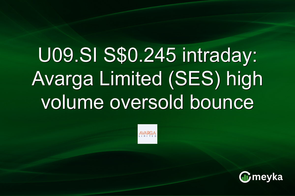 U09.SI S$0.245 intraday: Avarga Limited (SES) high volume oversold bounce