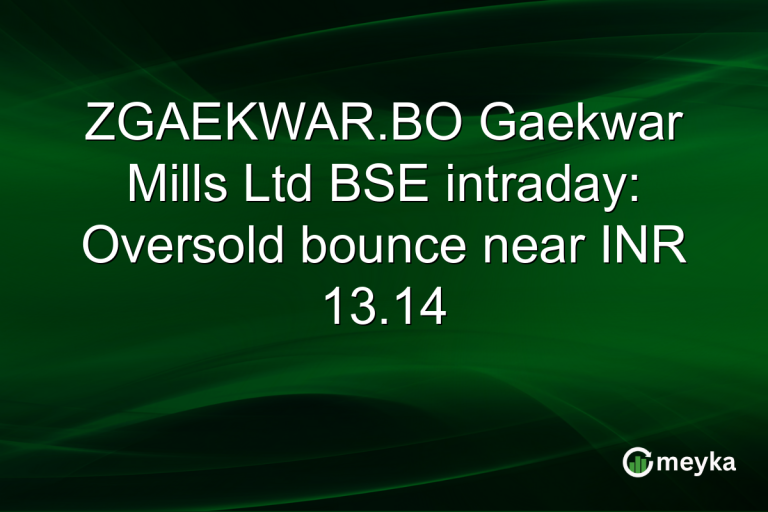 ZGAEKWAR.BO Gaekwar Mills Ltd BSE intraday: Oversold bounce near INR 13.14
