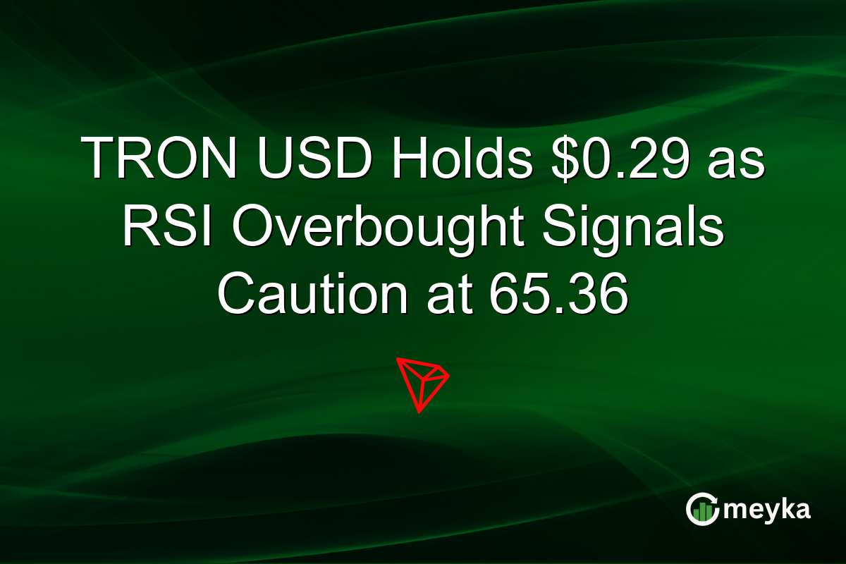 TRON USD Holds $0.29 as RSI Overbought Signals Caution at 65.36