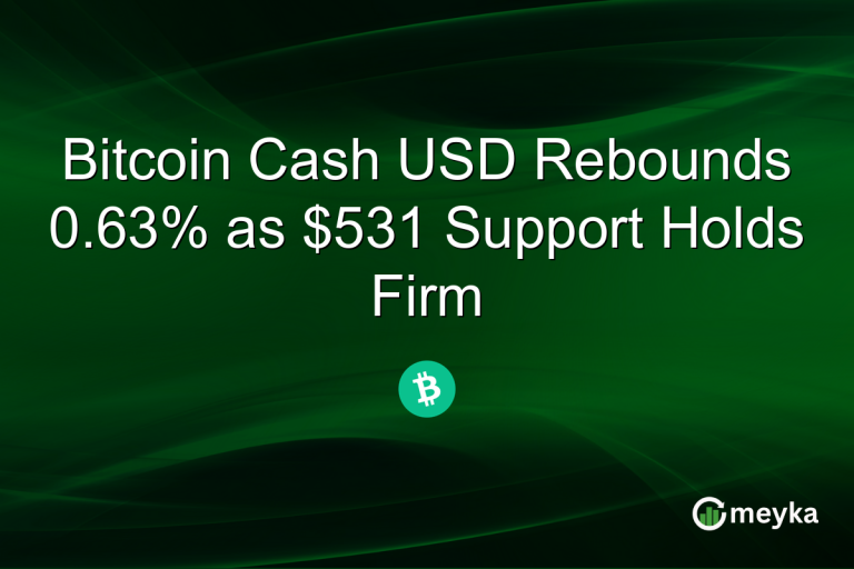 Bitcoin Cash USD Rebounds 0.63% as $531 Support Holds Firm
