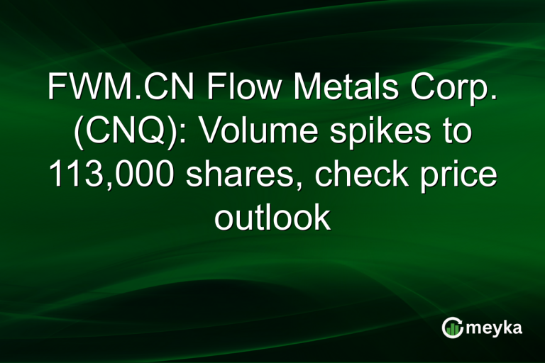 FWM.CN Flow Metals Corp. (CNQ): Volume spikes to 113,000 shares, check price outlook