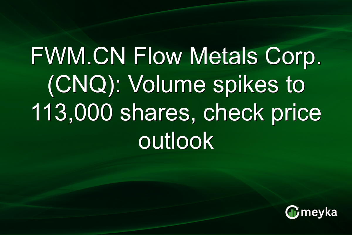 FWM.CN Flow Metals Corp. (CNQ): Volume spikes to 113,000 shares, check price outlook