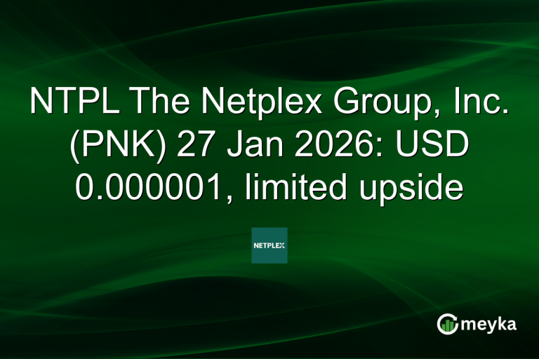 NTPL The Netplex Group, Inc. (PNK) 27 Jan 2026: USD 0.000001, limited upside