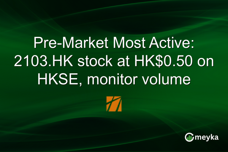 Pre-Market Most Active: 2103.HK stock at HK$0.50 on HKSE, monitor volume