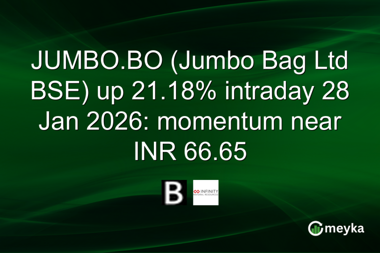 JUMBO.BO (Jumbo Bag Ltd BSE) up 21.18% intraday 28 Jan 2026: momentum near INR 66.65