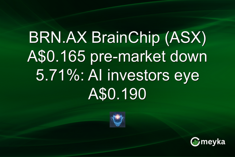 BRN.AX BrainChip (ASX) A$0.165 pre-market down 5.71%: AI investors eye A$0.190