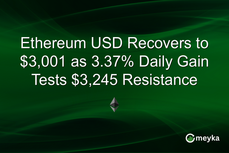 Ethereum USD Recovers to $3,001 as 3.37% Daily Gain Tests $3,245 Resistance