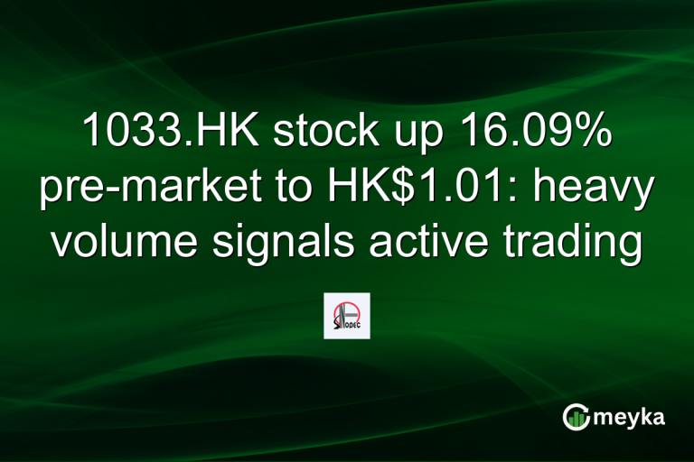 1033.HK stock up 16.09% pre-market to HK$1.01: heavy volume signals active trading