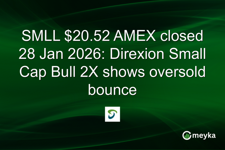 SMLL $20.52 AMEX closed 28 Jan 2026: Direxion Small Cap Bull 2X shows oversold bounce
