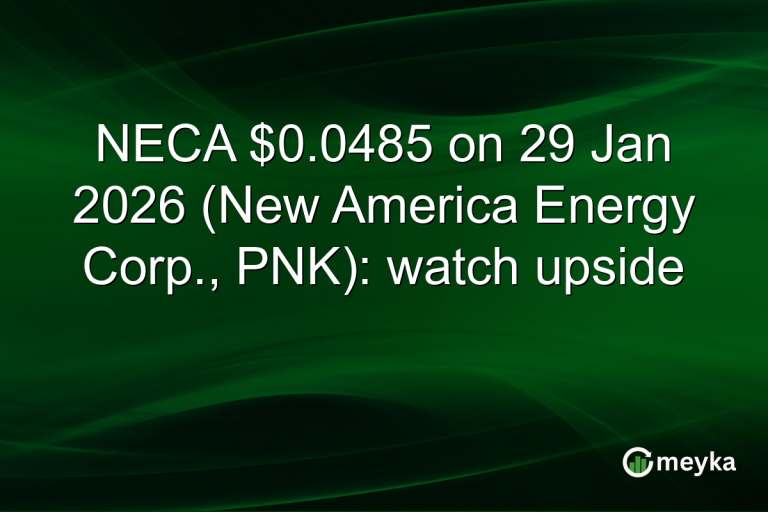 NECA $0.0485 on 29 Jan 2026 (New America Energy Corp., PNK): watch upside