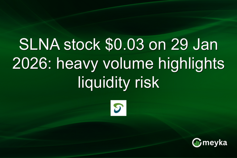 SLNA stock $0.03 on 29 Jan 2026: heavy volume highlights liquidity risk
