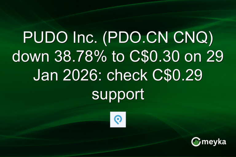 PUDO Inc. (PDO.CN CNQ) down 38.78% to C$0.30 on 29 Jan 2026: check C$0.29 support