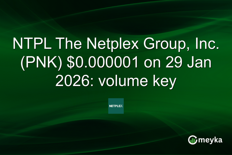 NTPL The Netplex Group, Inc. (PNK) $0.000001 on 29 Jan 2026: volume key