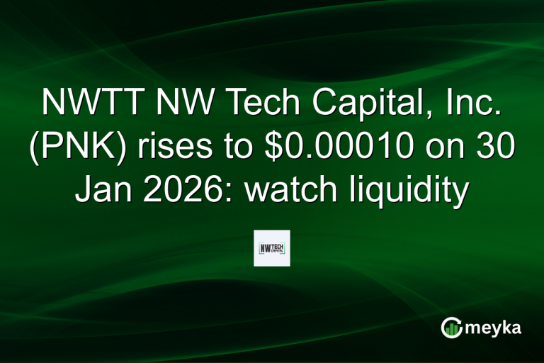 NWTT NW Tech Capital, Inc. (PNK) rises to $0.00010 on 30 Jan 2026: watch liquidity