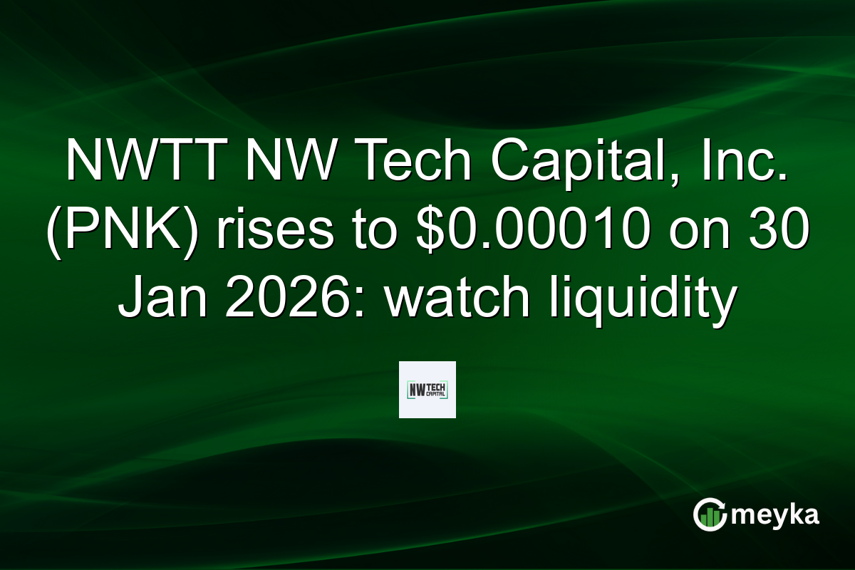 NWTT NW Tech Capital, Inc. (PNK) rises to $0.00010 on 30 Jan 2026: watch liquidity