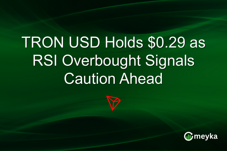 TRON USD Holds $0.29 as RSI Overbought Signals Caution Ahead