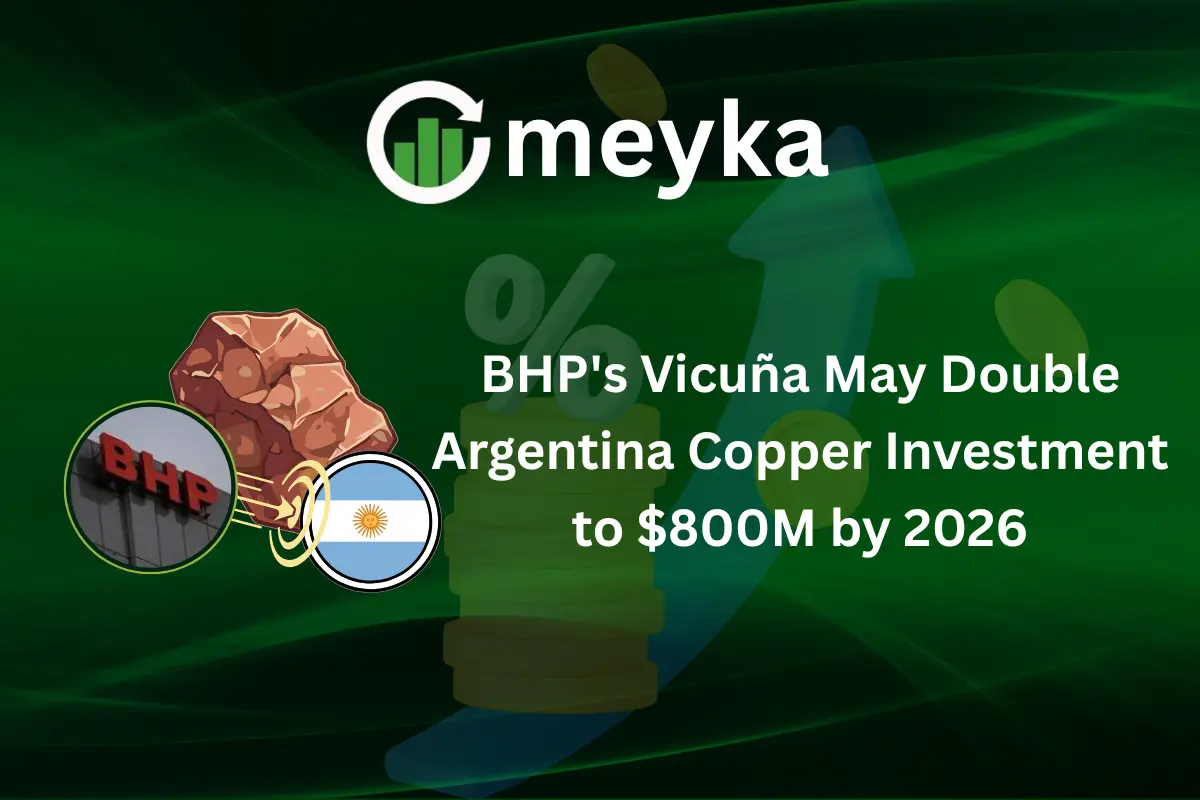 BHP's Vicuña