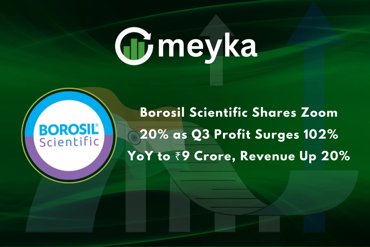 Borosil Scientific Shares