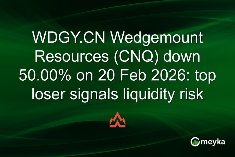 WDGY.CN Wedgemount Resources (CNQ) down 50.00% on 20 Feb 2026: top loser signals liquidity risk