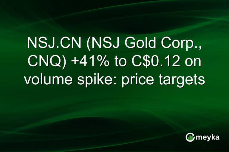 NSJ.CN (NSJ Gold Corp., CNQ) +41% to C$0.12 on volume spike: price targets