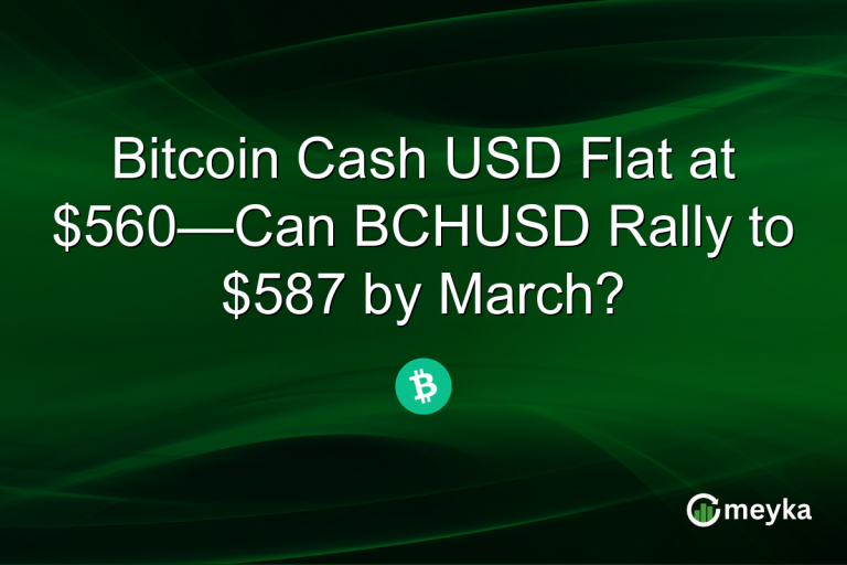 Bitcoin Cash USD Flat at $560—Can BCHUSD Rally to $587 by March?