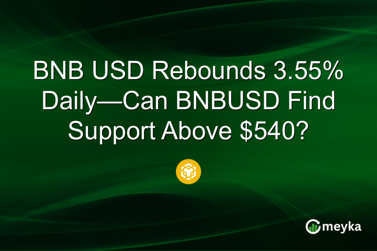 BNB USD Rebounds 3.55% Daily—Can BNBUSD Find Support Above $540?