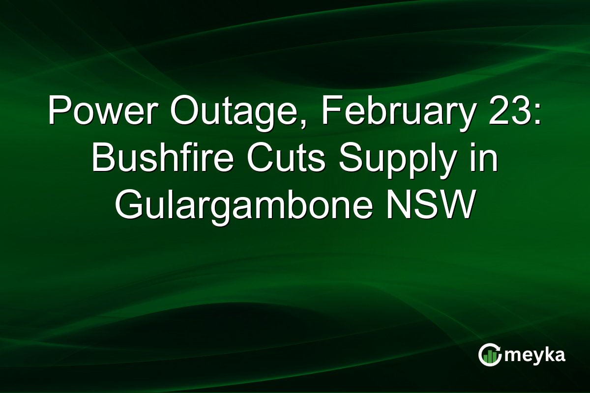 Power Outage, February 23: Bushfire Cuts Supply in Gulargambone NSW