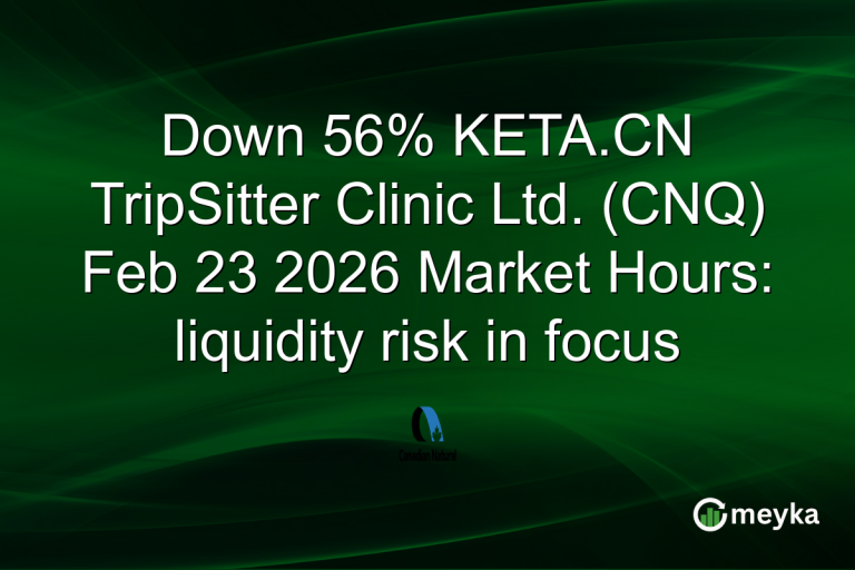 Down 56% KETA.CN TripSitter Clinic Ltd. (CNQ) Feb 23 2026 Market Hours: liquidity risk in focus