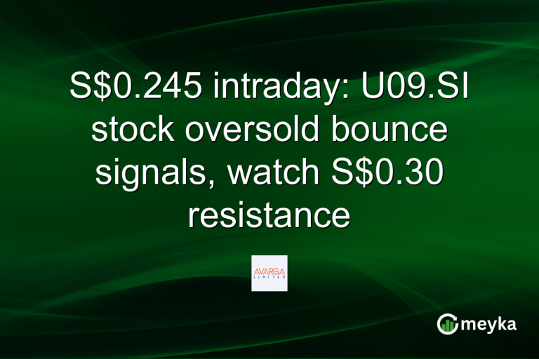 S$0.245 intraday: U09.SI stock oversold bounce signals, watch S$0.30 resistance