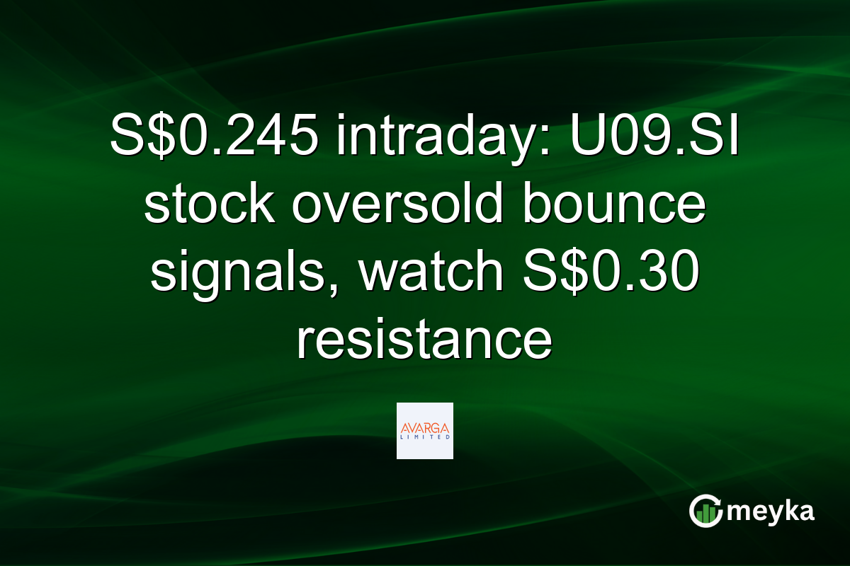 S$0.245 intraday: U09.SI stock oversold bounce signals, watch S$0.30 resistance