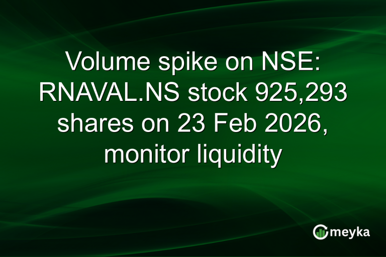 Volume spike on NSE: RNAVAL.NS stock 925,293 shares on 23 Feb 2026, monitor liquidity