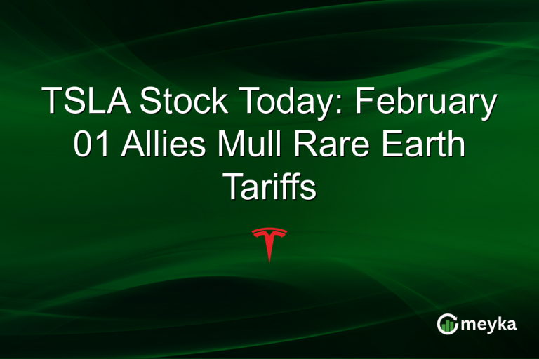 TSLA Stock Today: February 01 Allies Mull Rare Earth Tariffs
