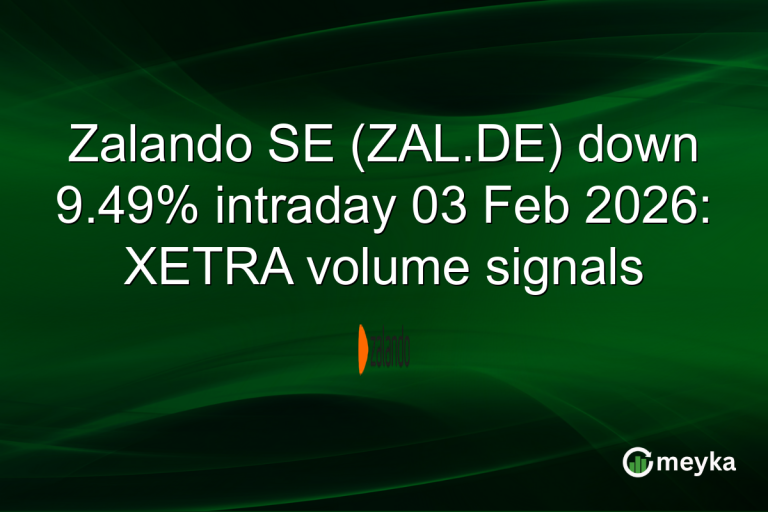 Zalando SE (ZAL.DE) down 9.49% intraday 03 Feb 2026: XETRA volume signals