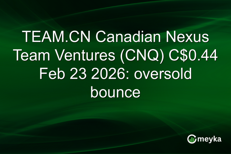 TEAM.CN Canadian Nexus Team Ventures (CNQ) C$0.44 Feb 23 2026: oversold bounce