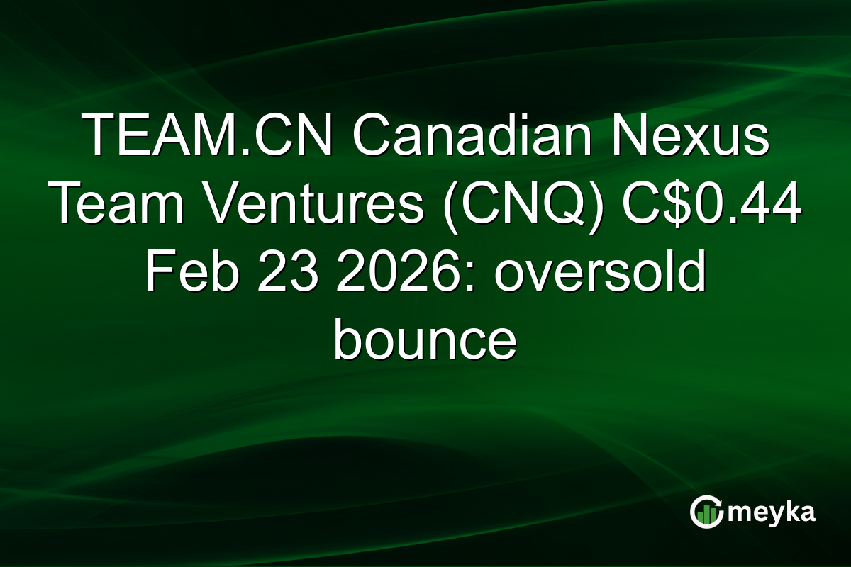TEAM.CN Canadian Nexus Team Ventures (CNQ) C$0.44 Feb 23 2026: oversold bounce
