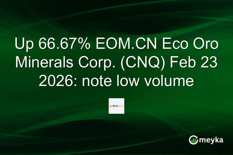 Up 66.67% EOM.CN Eco Oro Minerals Corp. (CNQ) Feb 23 2026: note low volume
