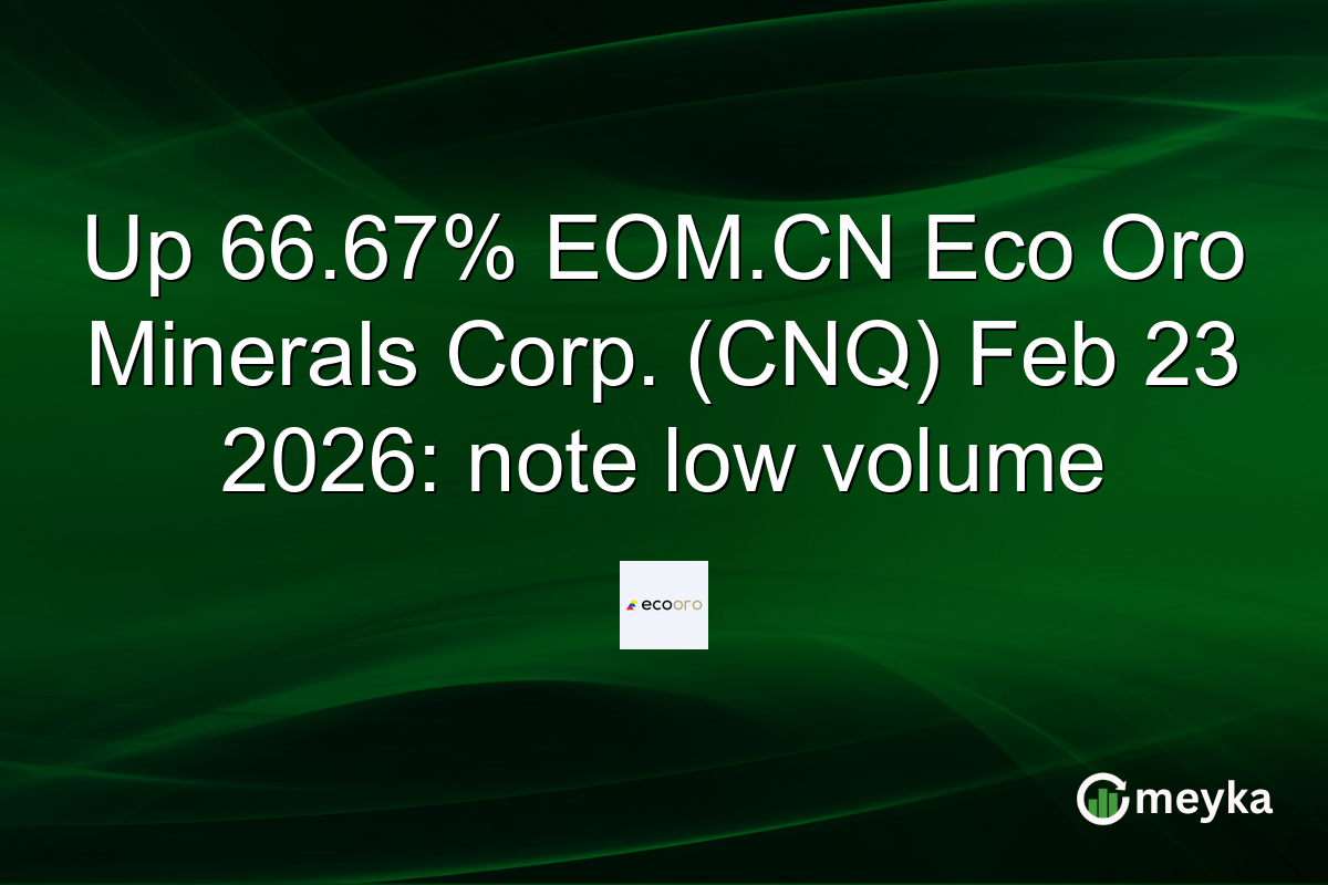 Up 66.67% EOM.CN Eco Oro Minerals Corp. (CNQ) Feb 23 2026: note low volume